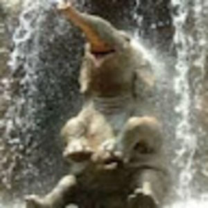 Meet your Posher, Elaine